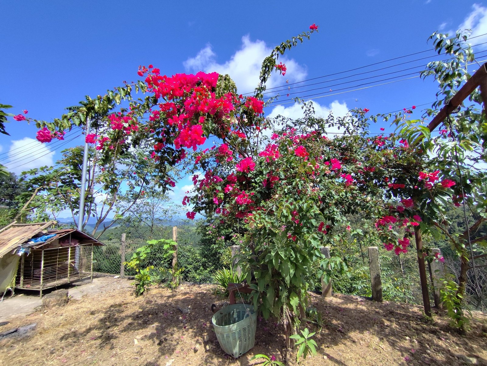 Luang Prabang Cycle To Hanoi Tour 8 Days